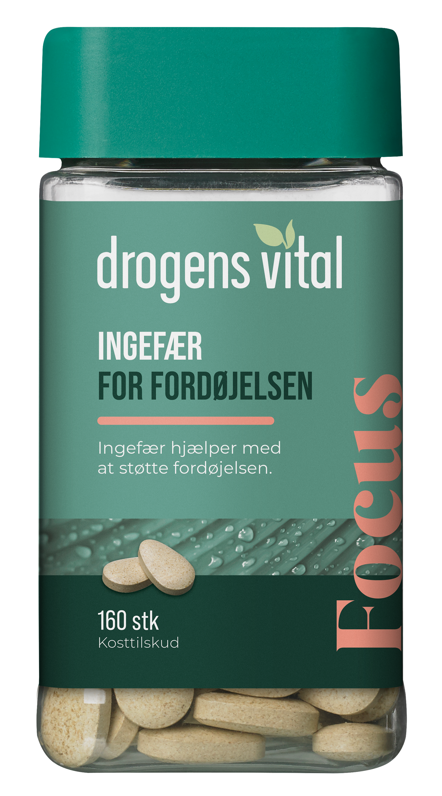 Drogens Vital Ingefær